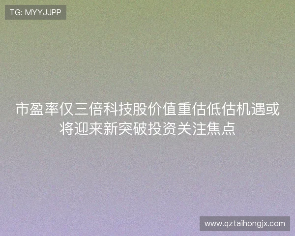 市盈率仅三倍科技股价值重估低估机遇或将迎来新突破投资关注焦点